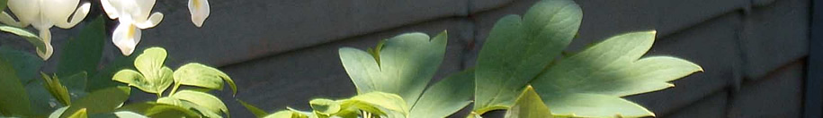 Greenwood Landscapes