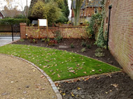 New lawn and mixed bed