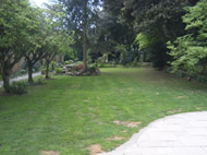View down garden before redesign