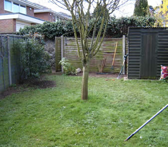 Garden before redesign