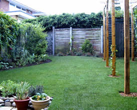 Finished garden with pergola