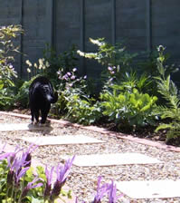 Garden path